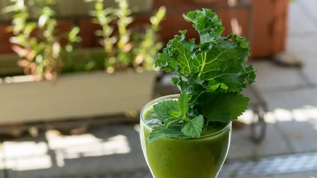 green smoothie with mint and kale