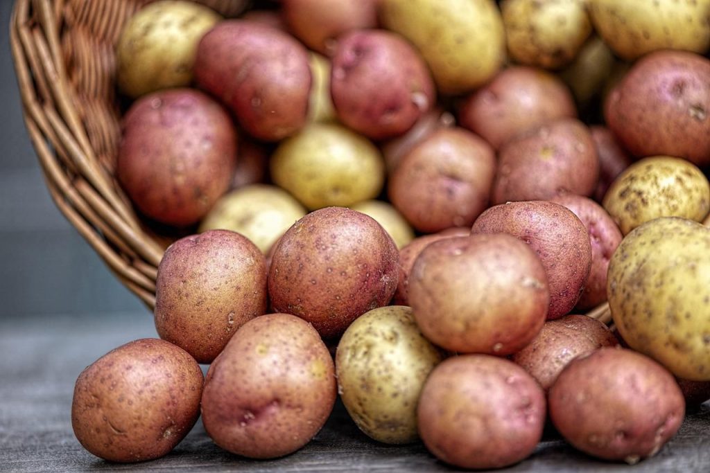 basket of red and gold potatoes at the market